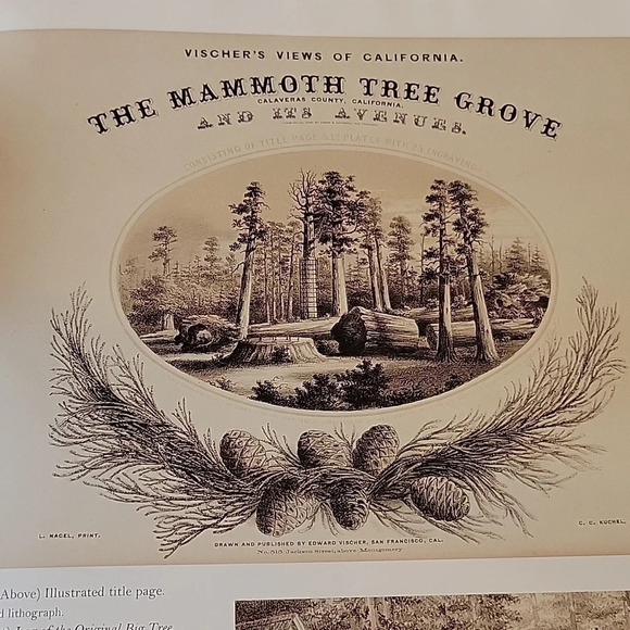 America Pictured to the Life, the Paul Mellon Bequest hardcover book - Picture 10 of 11